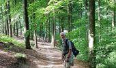 Excursión Senderismo Ottignies-Louvain-la-Neuve - 2020-05-21 IR226 Rofessart 20 Km de GR Rando - Photo 2