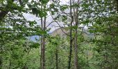 Randonnée Marche Bagni di Lucca - Boucle au départ de Casoli - Photo 4