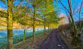 Tour Wandern Ham-sur-Heure-Nalinnes - Balade du Pré al Roch à Jamioulx - Photo 8