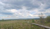 Trail Walking Waimes - baraque michel - botrange via fagne de polleur, retour via fagne wallonne  - Photo 3