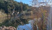 Tocht Stappen Saint-Raphaël - Rando des Etangs - Photo 14