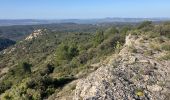 Tocht Trail Cheval-Blanc - Font de l’Orme-Croix de Fer-Menerbes-Pic Faiendre(17K 950D+) - Photo 8