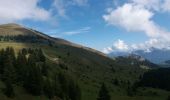 Trail Walking La Roche-sur-Foron - GLIERES / BORNES: LE CHESNET - SUR COU - COL DU FREU - Photo 4