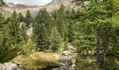 Randonnée Marche Saint-Martin-Vésubie - Cougourde-Lac de Trécolpas Mercantour - Photo 11