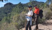 Trail Walking Fréjus - Mont Vinaigre  - Photo 16