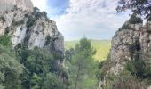 Tour Wandern Saint-Rémy-de-Provence - Gaussier, Peiroou et les 2 trous - Photo 10