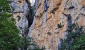 Trail Walking Estoublon - Gorges de Trévans - Photo 20