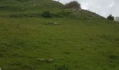 Tour Wandern Lucéram - Col de Porte Col de L’Autaret - Photo 6