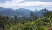 Excursión Senderismo Castellane - Les cadières de Brandis - Photo 2