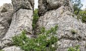 Percorso Marcia Le Pouzin - Le Pouzin - Rompon - Le sentier des Falaises - Photo 18