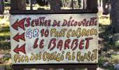 Percorso Marcia Fillols - 20200805 milleres-barbet-pic du Canigou-Joffre... - Photo 4