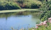 Tour Wandern Jemeppe-sur-Sambre - Bois des masures, longée de la Petite-Sambre - Photo 3