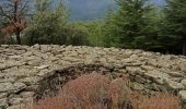 Percorso Sentiero Génolhac - circuit Marinenche, Belle poêle  - Photo 9