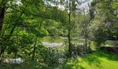 Trail Walking Andenne - Seilles - Balade du chant d'oiseau n° 6 (AD28) - Photo 6