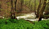 Trail On foot Sasca Montană - Sasca Montană – Cascada Șușara – Cărbunari (blue plus) - Photo 2