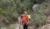 Trail Walking Aubagne - St jean de garguier - Photo 16