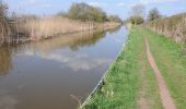 Tocht Te voet Wychavon - Hanbury Circular Walk - Photo 6