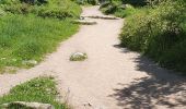 Tour Wandern Cauterets - Lac de Gaude - Photo 4
