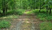 Trail Walking Villechauve - Villechauve 41310 - Photo 12