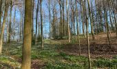 Trail Walking Beauvechain - Meerdael et molendaal à partir de Hamme Mil - Photo 4