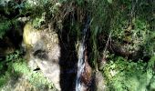 Excursión Senderismo Capoulet-et-Junac - Le Vicdessos par Illié - Photo 11