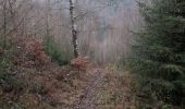Trail Walking La Roche-en-Ardenne - Warempage 101220 - Photo 4