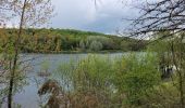 Tocht Stappen Saint-Ciergues - Tour du lac de la mouche - Photo 14