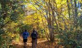 Trail Walking Brue-Auriac - Trace_Brue-Auriac - Photo 12