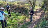 Tour Nordic Walking La Baleine - gavray 12 km - Photo 1