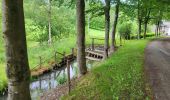 Tocht Stappen Houffalize - Engreux 080625 - Photo 17
