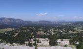 Randonnée Marche Châtillon-en-Diois - La Croix du Lautaret - Photo 3