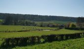 Tour Wandern Dampierre-Saint-Nicolas - Dampierre st Nicolas bois de Pimont freulleville  - Photo 1