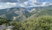 Tocht Stappen Aniane - Plateau Montcamès - Photo 15