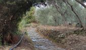 Trail Walking Riomaggiore - Riomaggiore to Vernazza  - Photo 14
