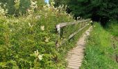 Tour Wandern Amel - La rivière d'or (9km) - Photo 19