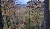 Trail Walking Aywaille - ninglinspo rando 21 - Photo 2