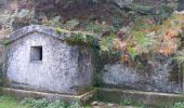 Tour Wandern L'Albère - ullat - san-cristau / retour par la piste  - Photo 15