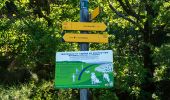 Trail Walking Le Castellard-Mélan - Auribeau depuis Melan - Photo 15