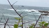 Randonnée Marche Trébeurden - boucle Île Grande  - Photo 12