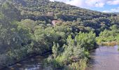 Randonnée Marche Roquebrun - Les ayrolles depuis Ceps - Photo 13