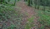 Trail Walking Maraye-en-Othe - Maraye 26km le 08.10.2021 - Photo 15