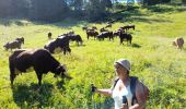 Tour Wandern La Clusaz - ARAVIS: TETE DU DANAY via Mortenay et Pézerette - Photo 3