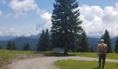 Tour Wandern Stein in Oberkrain - Velika Planina - Photo 2