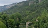 Trail Electric bike Millau - Millau gorges de la Jonte et gorges du Tarn - Photo 7