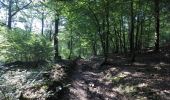 Tocht Mountainbike Chimay - Baileux - Couvin - Ry de Rome - Regniessart - 65km  : 1250 - Photo 7