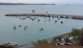 Randonnée Marche Erquy - LE CAP D'ERQUY DEPUIS LE CAMPING LA VALLEE - Photo 10