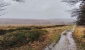 Randonnée Marche Waimes - les caillebotis de la fagne wallonne  - Photo 13