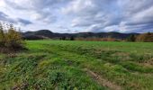 Tocht Stappen Vieux-Moulin - Vieux-Moulin 