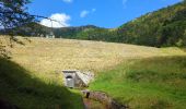 Trail Walking La Bresse - Le Hohneck et ses lacs d'altitude - Photo 14