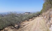 Tour Zu Fuß Assisi - IT-319 - Photo 3